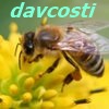 Avatar utilizator
