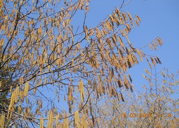 rsz_2dscn2641.jpg
