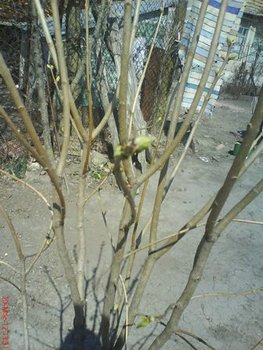 DSC04380.JPG