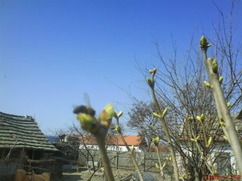 DSC04383.JPG