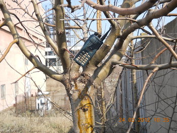 rsz_dscn2661.jpg