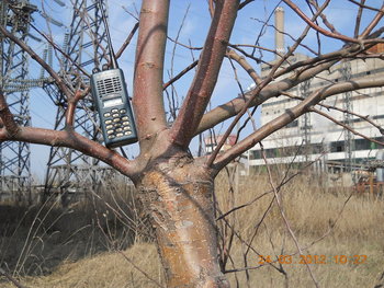 rsz_dscn2659.jpg