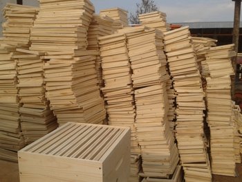 2012-03-24 15.35.27.jpg