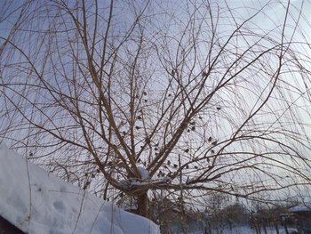 DSC00794 (Small).JPG