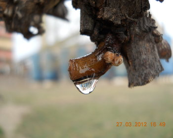 rsz_4dscn2697.jpg