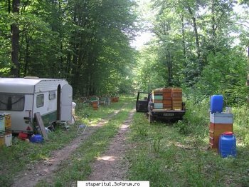 tei 2009 1.jpg