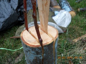 DSCN2701 (Medium) (Custom).JPG