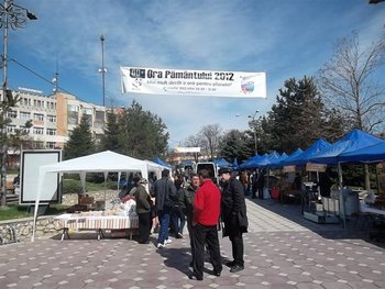 v fbgf 007 (Small).jpg