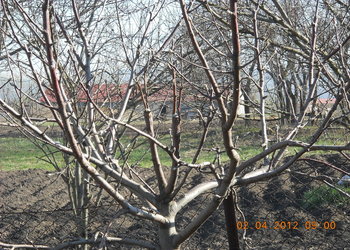 rsz_5dscn2717.jpg