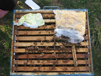 stup martie 033 (Copy).jpg