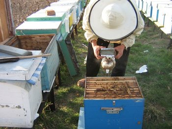 stup martie 035 (Copy).jpg