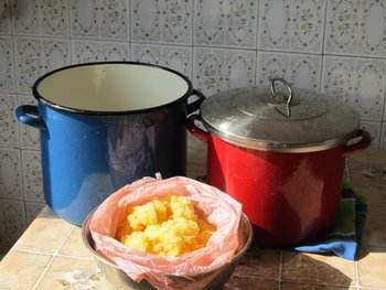 hranire de stimulare 018.jpg