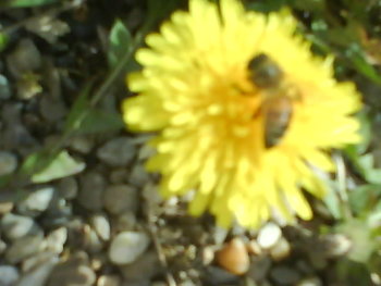 DSC04465.JPG