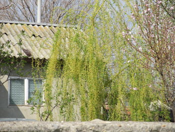 alt aprilie 091.jpg