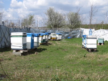 alt aprilie 076.jpg