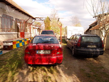 SAM_0056_opt.jpg