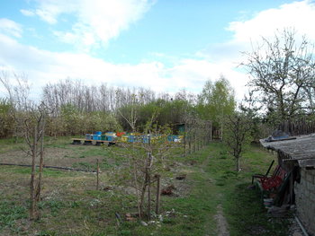 SAM_0071_opt.jpg