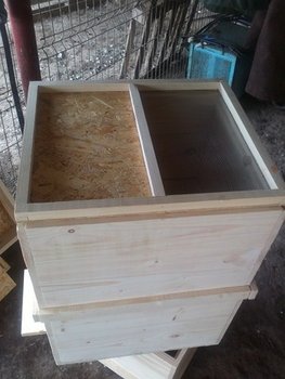 IMG025 (Copy).jpg