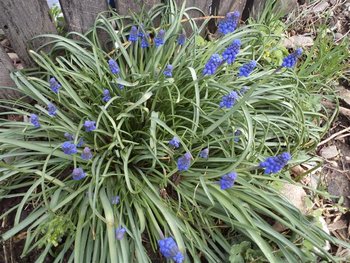 DSC01345 (Small).JPG