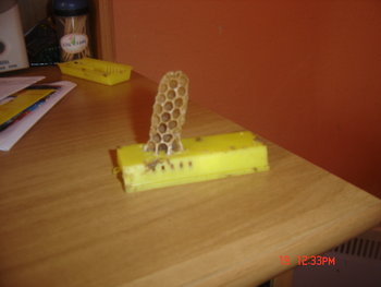 Picture 002.jpg