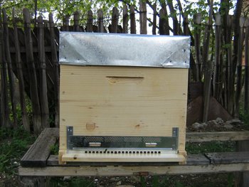 apitek 001 (Copy).jpg