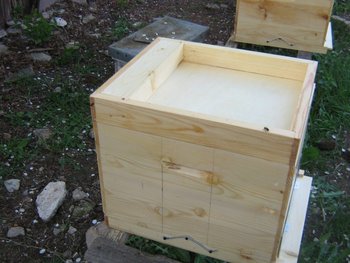 apitek 005 (Copy).jpg