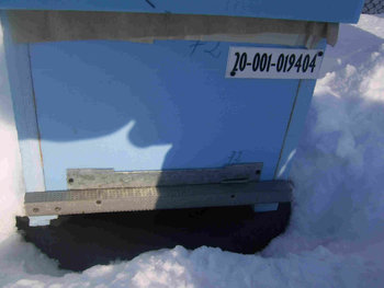 SSA42407.JPG