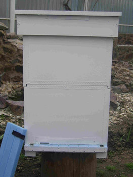 SSA42605.JPG