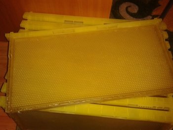 rame plastic 2.jpg