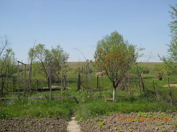 rsz_4dscn2797.jpg