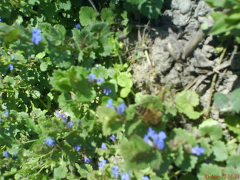 DSC05026.JPG