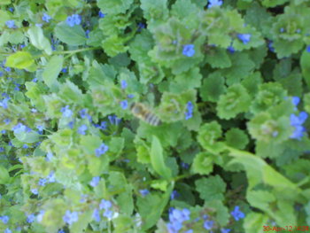 DSC05033.JPG