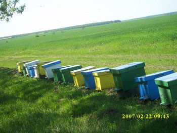 IMG_0089.JPG