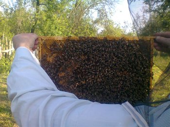 st1r6f (Medium).jpg