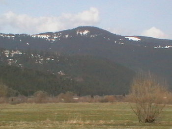 20110417-155718.JPG