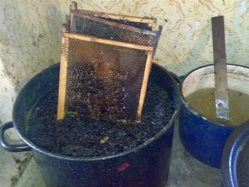020420111491 (Medium).jpg