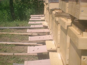SANY3891.jpg