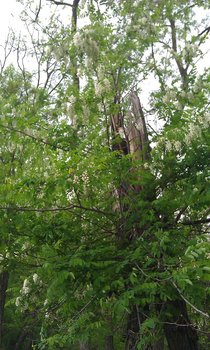IMAG02071.JPG
