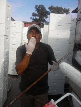 IMG_20120222_160915.jpg