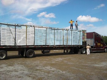 IMG_20120320_115611 (Medium).jpg