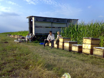 18072008078.jpg