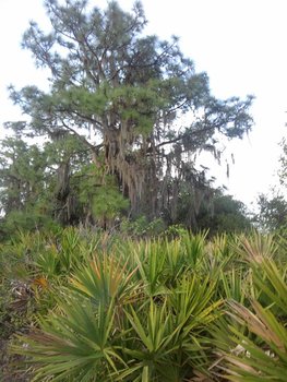 IMG_20120404_193259 (Medium).jpg