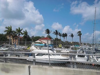IMG_20120406_120355 (Medium).jpg