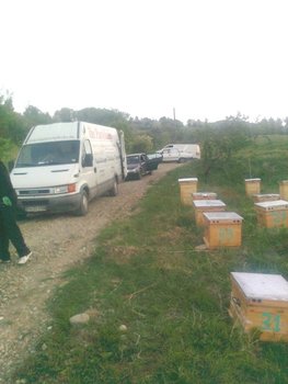 logistica1.jpg