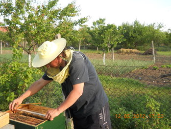 rsz_3dscn2816.jpg