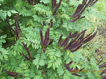 rsz_3dscn2820.jpg