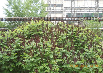 rsz_4dscn2817.jpg