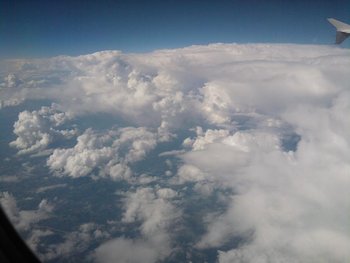 IMG_20120502_003748 (Medium).jpg