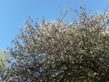 2012-04-26 19.01.32.jpg