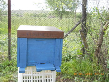 rsz_1dscn2834.jpg